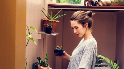 Victorino Decora Planejados